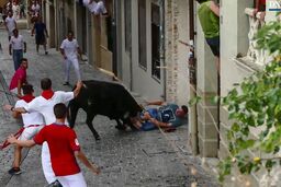 لحظه حمله گاو به تماشاگر جوان