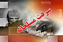 جزئیات سرقت هولناک مسلحانه از منزل مسکونی در شمال تهران
