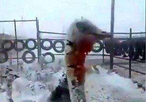 یخ زدن شترمرغ‌ها در اثر سرمای شدید افغانستان!
