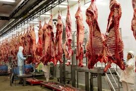 واردات گوشت؛ پای پسرخاله وزیر و پسر معاون وزیر سابق در میان است