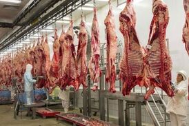 واردات گوشت؛ پای پسرخاله وزیر و پسر معاون وزیر سابق در میان است