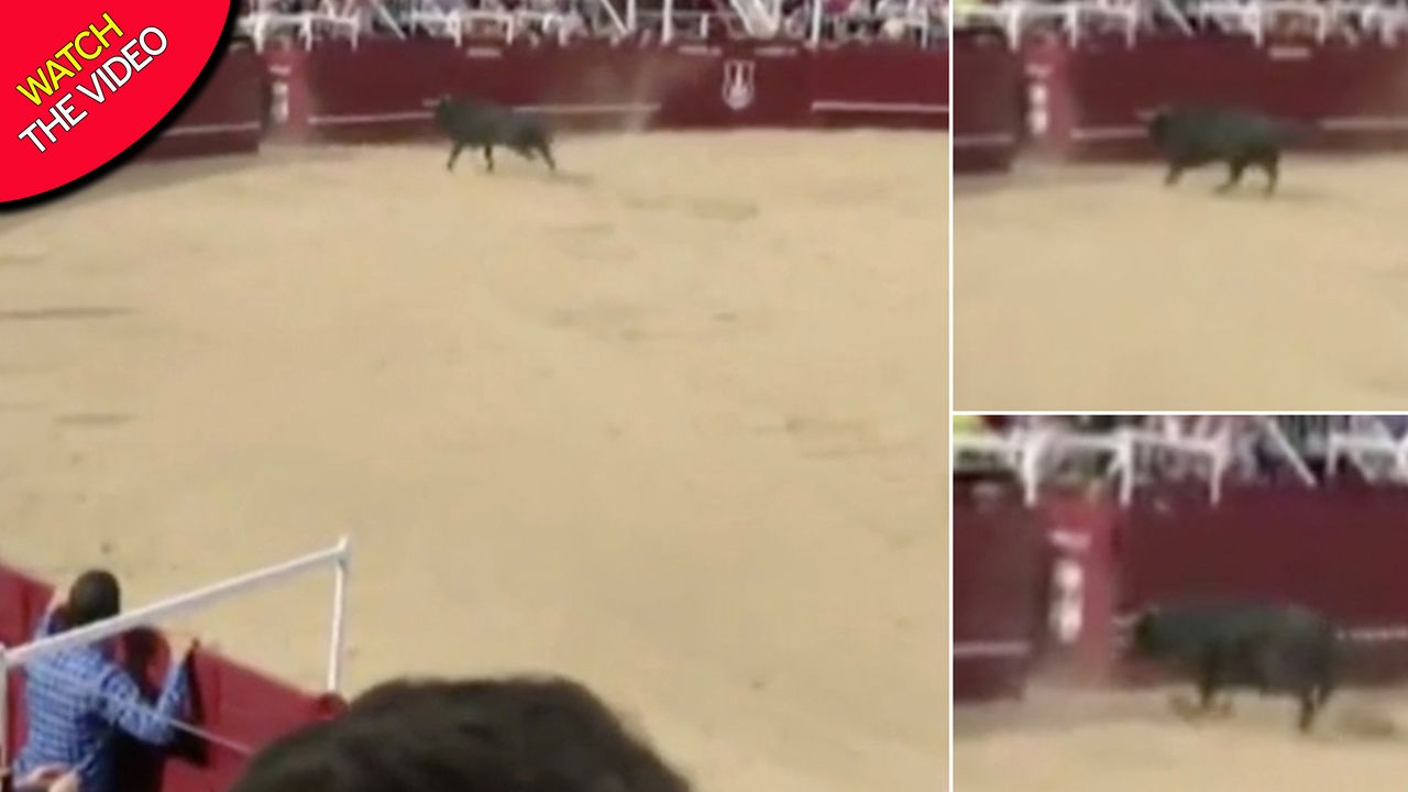 مرگ گاوباز بر اثر حمله برق آسای گاو! +فیلم