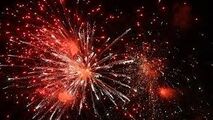 جشنواره نیلوفر آبی در چین با نورافشانی مسحورکننده