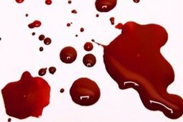 
قتل، پاداش کمک کنندگان به جلوگیری از شیوع ویروس کرونا! + فیلم