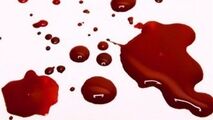 
قتل، پاداش کمک کنندگان به جلوگیری از شیوع ویروس کرونا! + فیلم