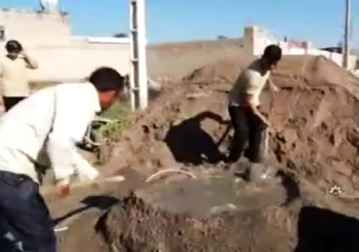 دستان کوچکی که دستان تهی‌دستان را می‌گیرند