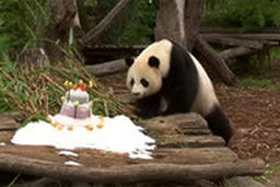  تهران به اندازه کالیفرنیا گرم می‌شود