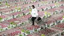 پاکبانان یزدی میهمان سفره خادمیاران رضوی