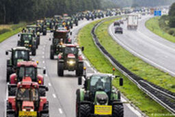 اعتراض کشاورزان اسپانیایی به سبک فیلم جدید «حاتمی‌کیا»