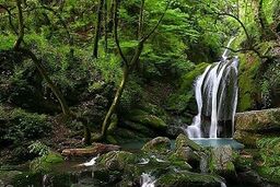 آبشار زیبای 