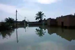  در محاصره آب؛ روستایی که فقط با قایق می‌توان رفت!