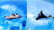 بازگشایی هتل یخی شگفت انگیز در ژاپن + فیلم 