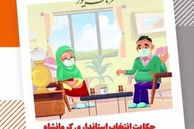 حکایت انتخاب استاندار کرمانشاه، مرغ همسایه غاز ؛ غاز خودمان مرغ!
