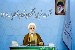صحبت‎های سخنگوی قوه قضاییه درباره پرونده سید امامی