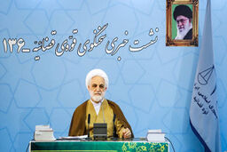 صحبت‎های سخنگوی قوه قضاییه درباره پرونده سید امامی