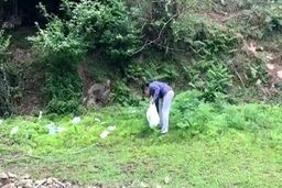 اقدام جالب و آموزنده یک شهروند طبیعت دوست