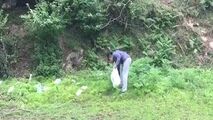 اقدام جالب و آموزنده یک شهروند طبیعت دوست