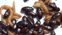 روش درمانی که بیمار سرطانی را از مرگ حتمی نجات داد!