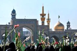 گلباران حرم امام رضا (ع) در سالروز ولادت حضرت معصومه (س) و آغاز دهه کرامت
