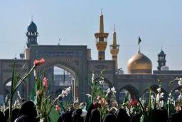 گلباران حرم امام رضا (ع) در سالروز ولادت حضرت معصومه (س) و آغاز دهه کرامت
