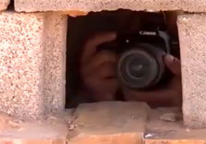 دوربین به جای اسلحه؛ طرحی عالی برای جلوگیری از شکار غیرمجاز حیوانات