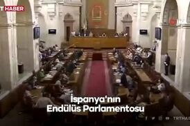 موش بزرگ در مجلس اندلس/ زنها پا به فرار گذاشتند/فیلم