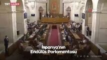 موش بزرگ در مجلس اندلس/ زنها پا به فرار گذاشتند/فیلم