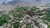 جشن آلاله ها در دامن طبیعت سبز نیاسر