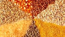 حرف‌های عجییب وارد کننده بزرگ نهاده‌های دامی در کمیته تحقیق و تفحص