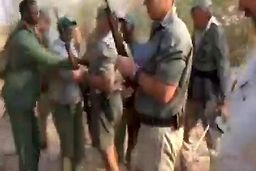 لحظه شکار وحشیانه شیر آفریقایی