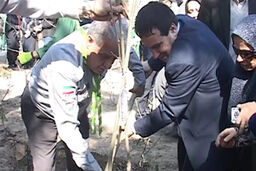 کاشت درخت به یاد شهدا