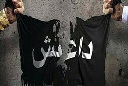 بازداشت یک تروریست داعشی