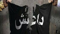 بازداشت یک تروریست داعشی