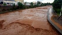 خیابان‌های تبریز را سیل گرفت