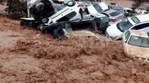 عاقبت شوخی گرفتن سیل!