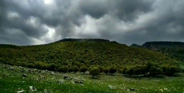 تایم‌لپس دیدنی از رقص خورشید بر دامن جنگل‌های «کارزان» ایلام