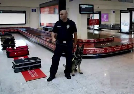 چرا گرجستان مسافران ایرانی را راه نمی‌دهد؟