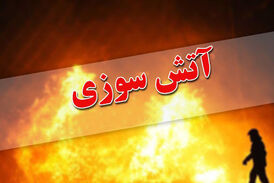 دستگیری عاملین آتش سوزی اقامتگاه ترک اعتیاد - رباط کریم