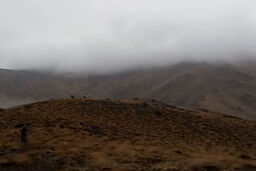 نمایی از طبیعت پاییزی در تویسرکان