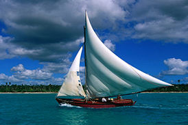 دریانورد نابینای ژاپنی اقیانوس آرام را با قایق پیمود+ فیلم