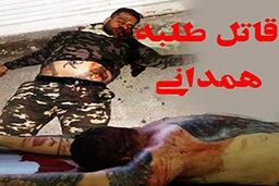 چرا قاتل طلبه همدانی زنده دستگیر نشد؟
