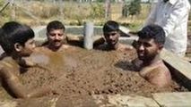 حمام پهن برای پیشگیری از ابتلا به ویروس کرونا!