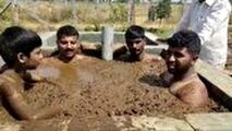 حمام پهن برای پیشگیری از ابتلا به ویروس کرونا!