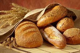 راهنمای جامع انتخاب بهترین نان برای مصرف روزانه و صبحانه