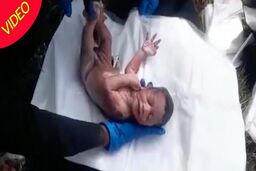 لحظه پیدا شدن نوزاد در آشغال!