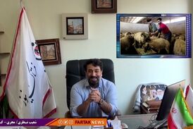 انتقاد تند شعیب نظری به اظهارات نسنجیده مدیرعامل اتحادیه دامداران
