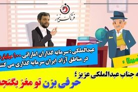 تیکه سنگین آمیرزا به دبیرشورایعالی مناطق آزاد: یک حرفی بزن تو مغز بگٌنجه!