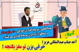 تیکه سنگین آمیرزا به دبیرشورایعالی مناطق آزاد: یک حرفی بزن تو مغز بگٌنجه!