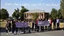 اختصاصی / حمایت همدانی ها از پرویز پرستویی و امیرشهاب رضویان
