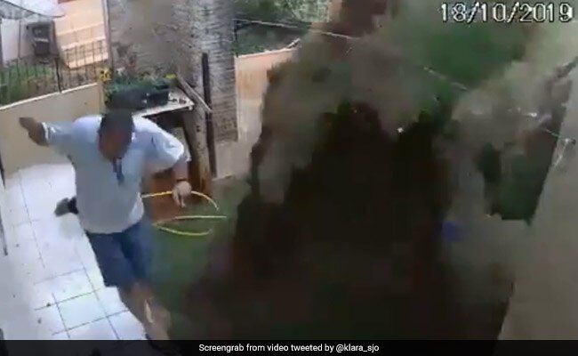 حادثه‌ای که مرد برزیلی حین کشتن سوسک‌ از آن جان سالم بدر برد!
